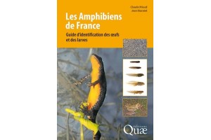 Les amphibiens de France - Guide d'identification des œufs et des larves